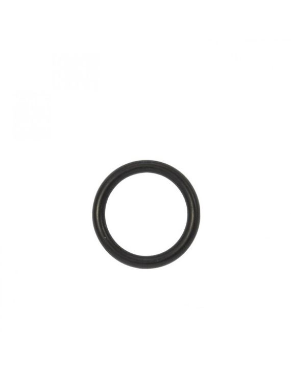 Truma O-Ring 10x25